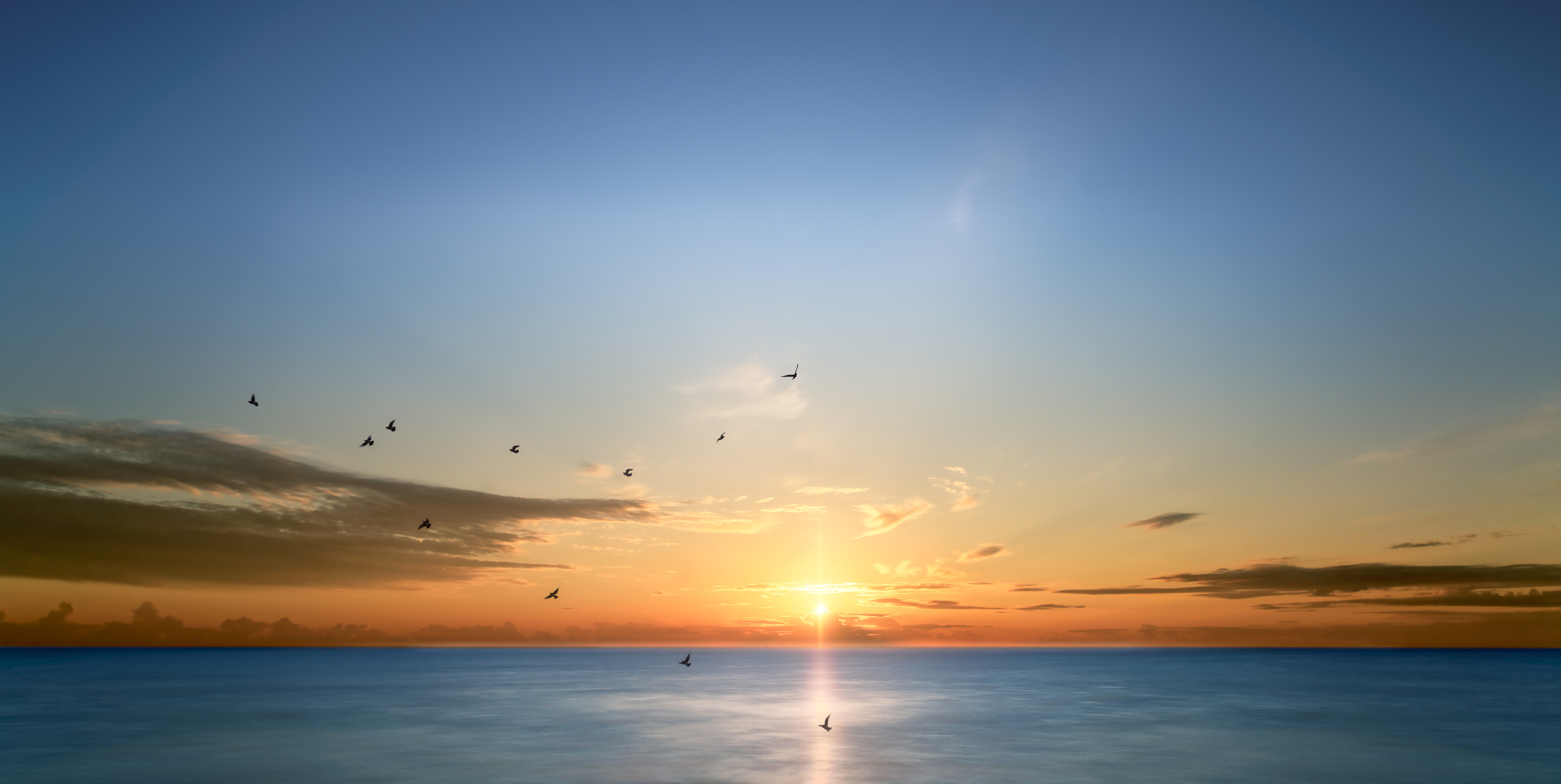 birds flying over the sea at sunrise 164756681545